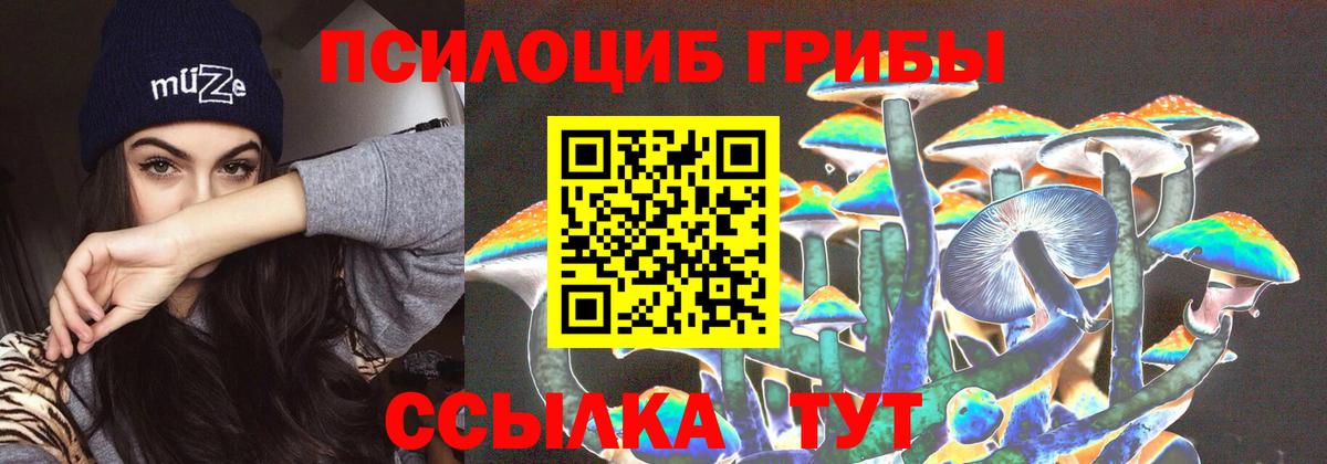 Галлюциногенные грибы Psilocybe  Псилоцибиновые грибы Magic Shrooms  Вход с VPN  Саранск 